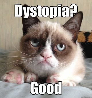 Illustration for article titled The "grumpy cat" movie is a harbinger of the apocalypse